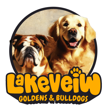 Lakeveiw Goldens and Bulldogs